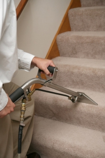 Different Ways To Clean Your Carpets