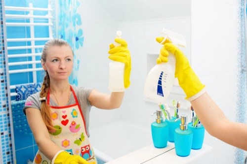 Professional window cleaning in Balham for bright and streak-free glass