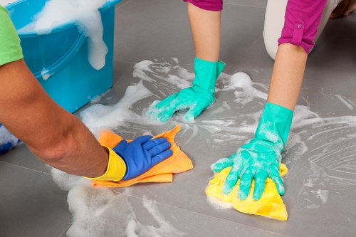Professional cleaners in Balham servicing a modern local home