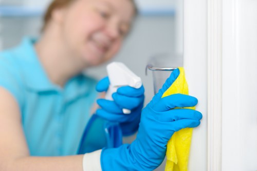 Professional cleaning company in Balham serving homes and businesses