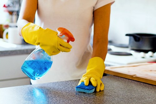 Cleaner in Balham providing professional domestic cleaning service
