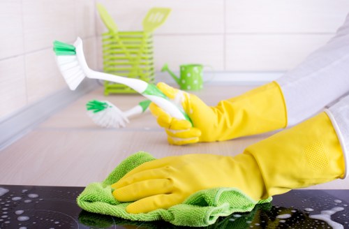 Deep oven cleaning service removing grease and burnt residue