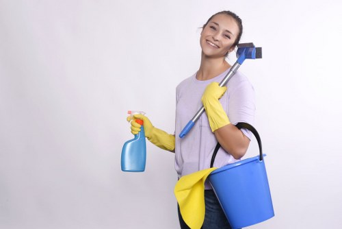 Balham cleaner handling deep cleaning tasks in a modern home