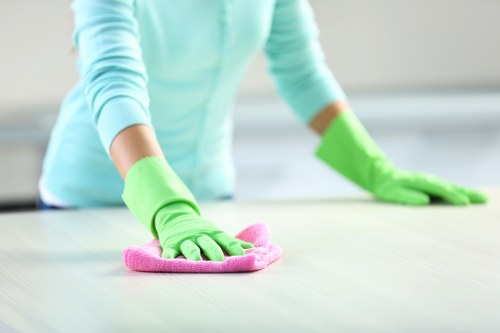 Tailored domestic cleaner services for Balham households