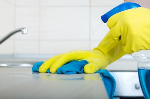 Professional cleaning of a residential facade in Balham