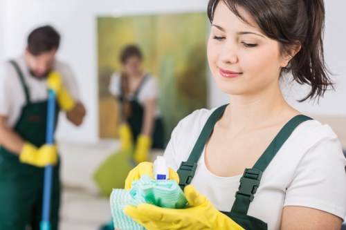 Specialist upholstery stain removal and care