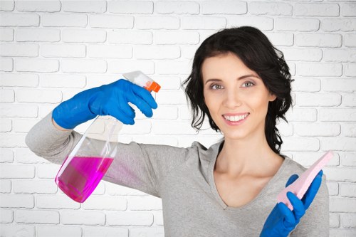 Legal terms and conditions for carpet cleaning services